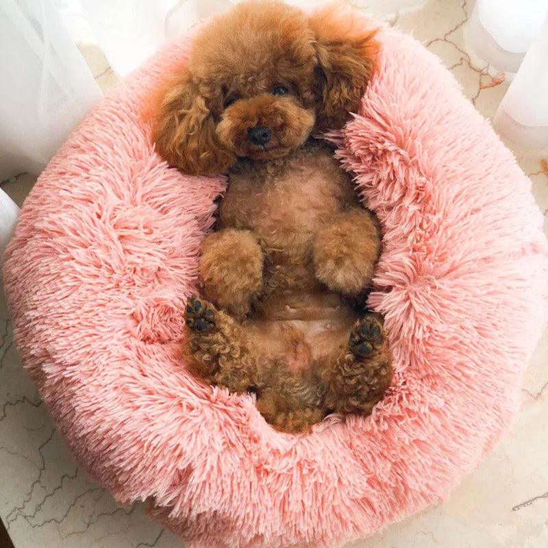 Almaguer Orthopedic Polyester Pet Bed - Tophatter Daily Deals