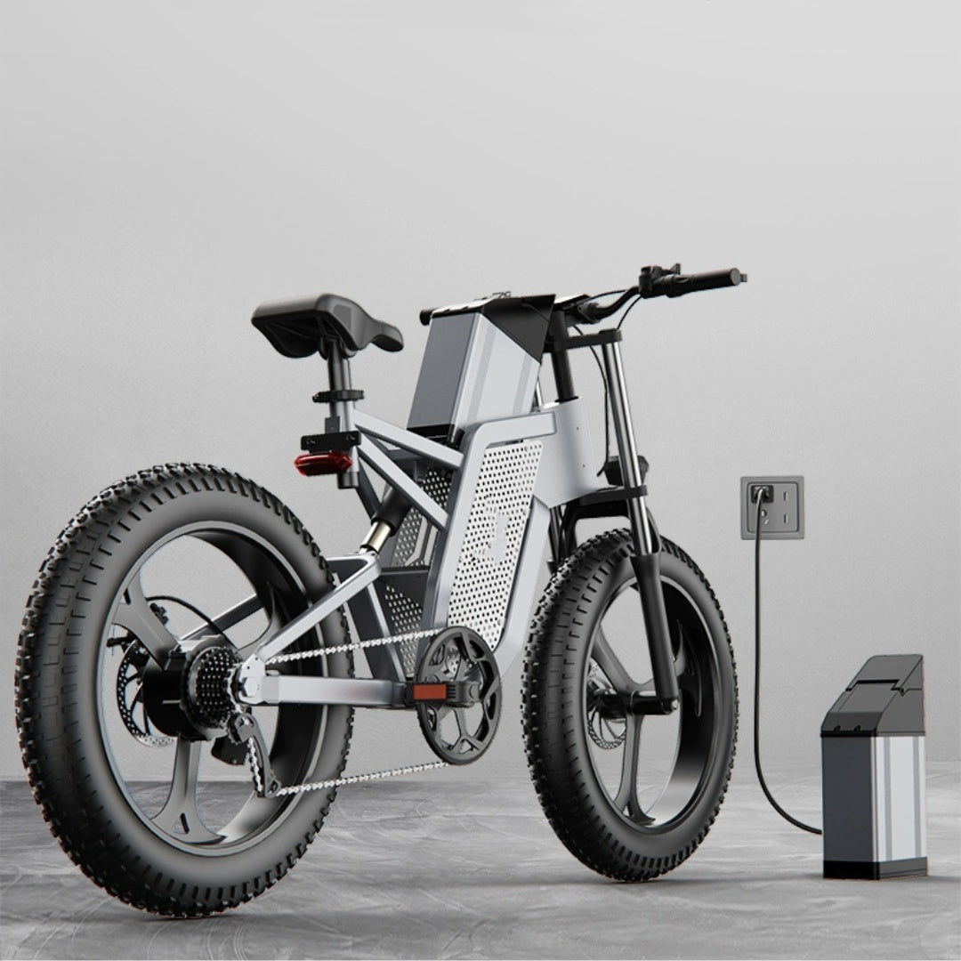 20 Inch 48V New National Standard Off-road Electric Bicycle Assistance 0 - Tophatter Daily Deals