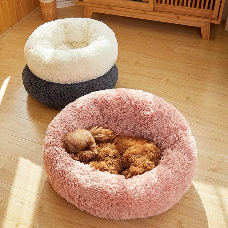 Almaguer Orthopedic Polyester Pet Bed - Tophatter Daily Deals