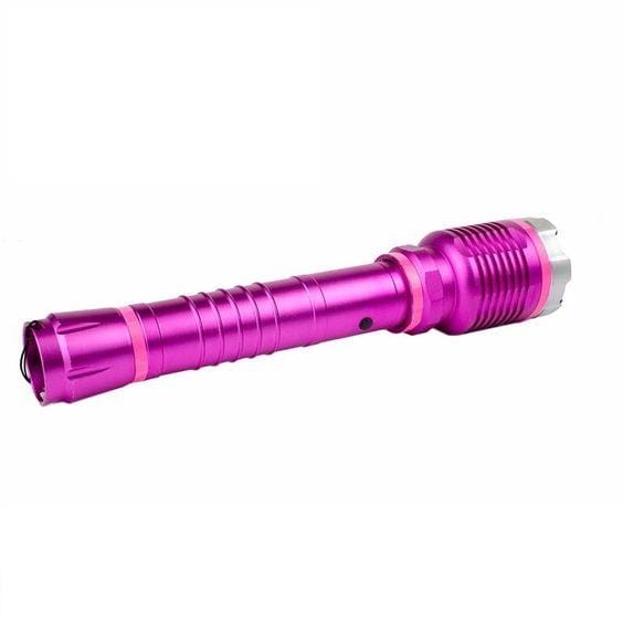 DNA Collecting Aluminum Self-Defense Stun Gun & Flashlight Combo Stun Guns - Tophatter Daily Deals