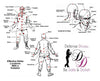 "All Business Brittany" Women's Self Defense Kit Package Deals - Tophatter Daily Deals