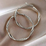 Delicate Silky Texture Design Women's Earrings Silver Earrings - Tophatter Daily Deals