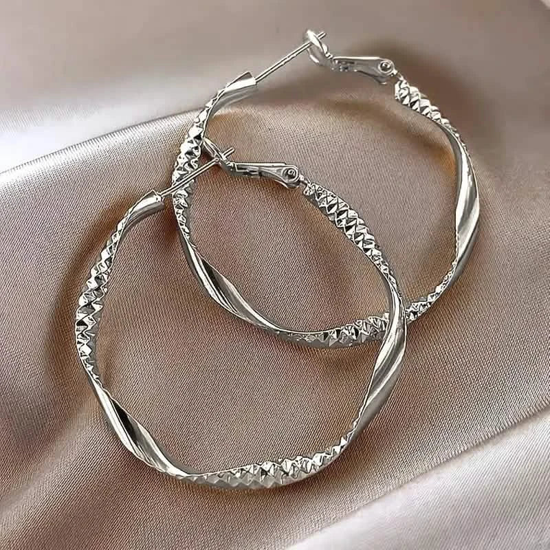 Delicate Silky Texture Design Women's Earrings Silver Earrings - Tophatter Daily Deals