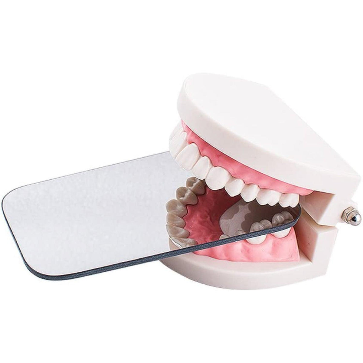 Dental Photography Mirrors - 5pcs Intra-Oral Mirror Dental Care Kits Oral Photographic Reflector Dental Orthodontic Intraoral Photographic Health Care - Tophatter Daily Deals