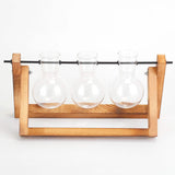 Desktop Glass Bulb Planter Furniture & Decor - Tophatter Daily Deals