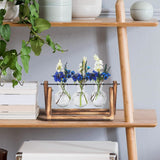 Desktop Glass Bulb Planter Furniture & Decor - Tophatter Daily Deals