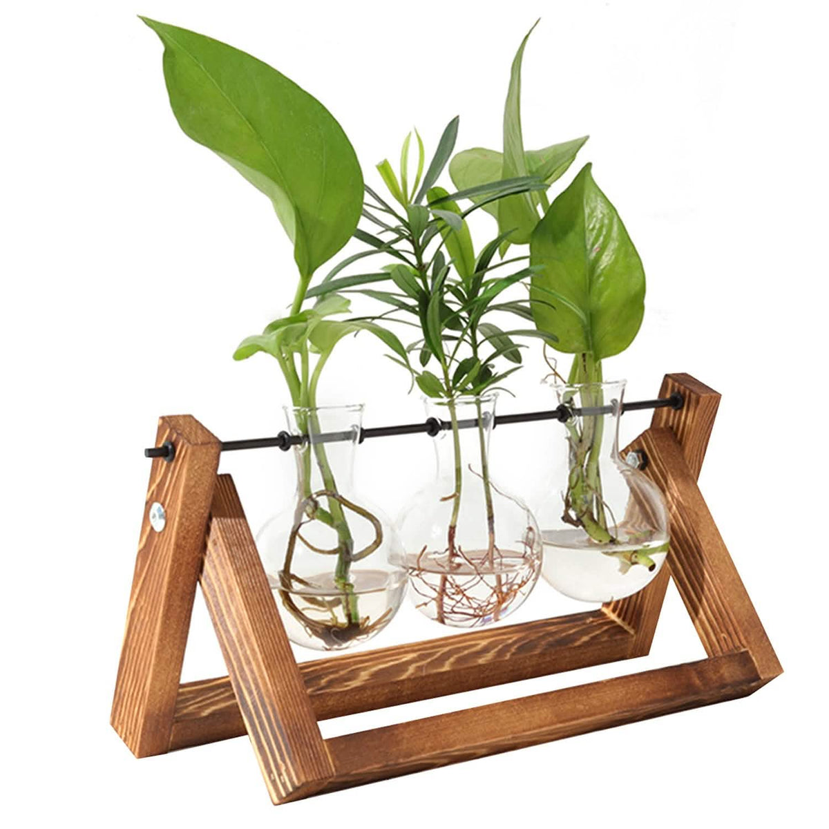 Desktop Glass Bulb Planter Furniture & Decor - Tophatter Daily Deals