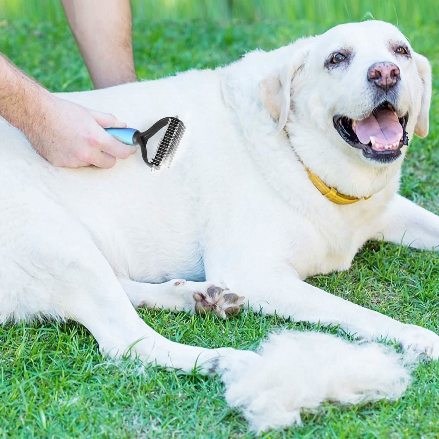 Dog and Cats 2 Sided Grooming Rakes Pet Supplies - Tophatter Daily Deals