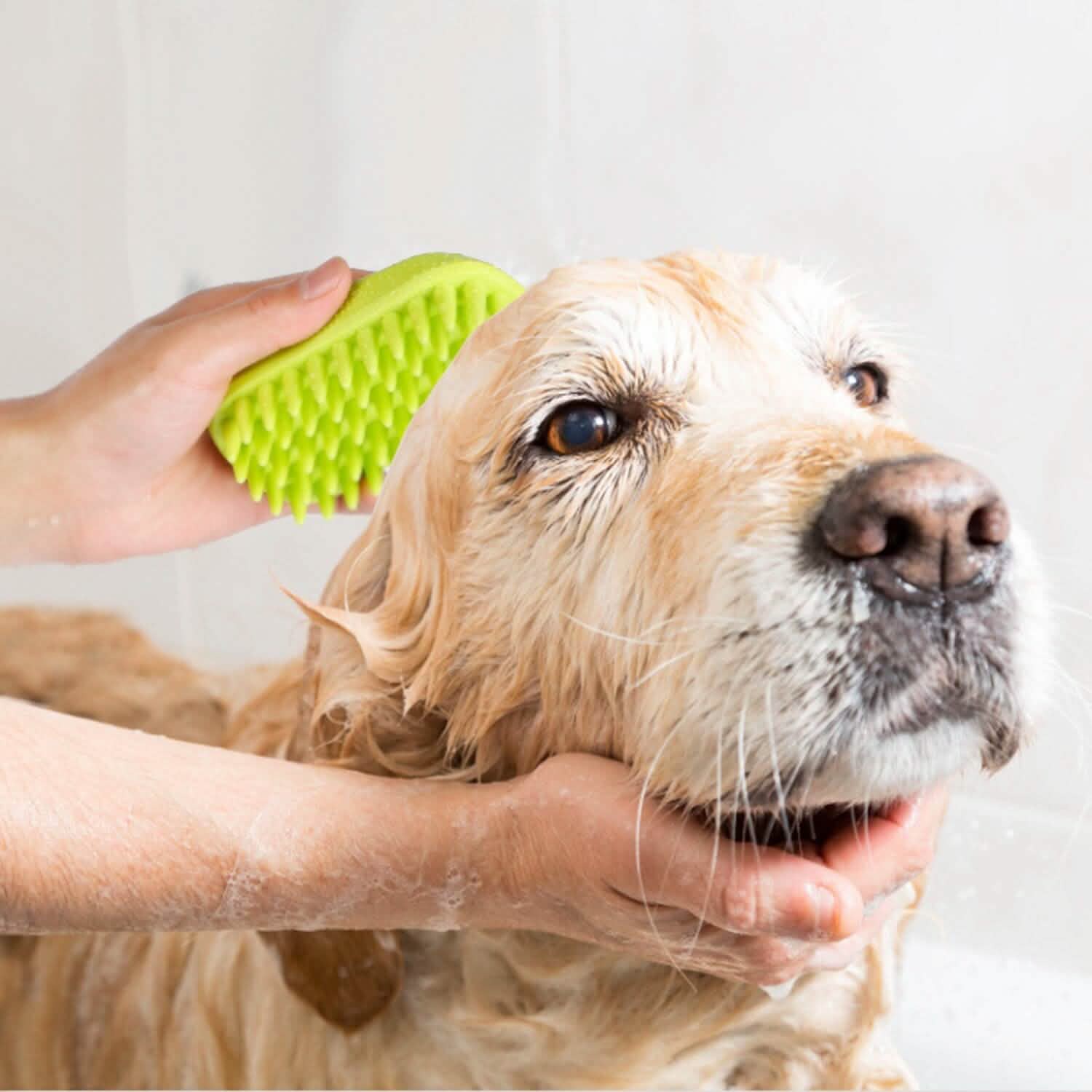 Dog Bath Brush Anti-Skid Pet Grooming Shower Silicone Massage Comb Pet Supplies - Tophatter Daily Deals