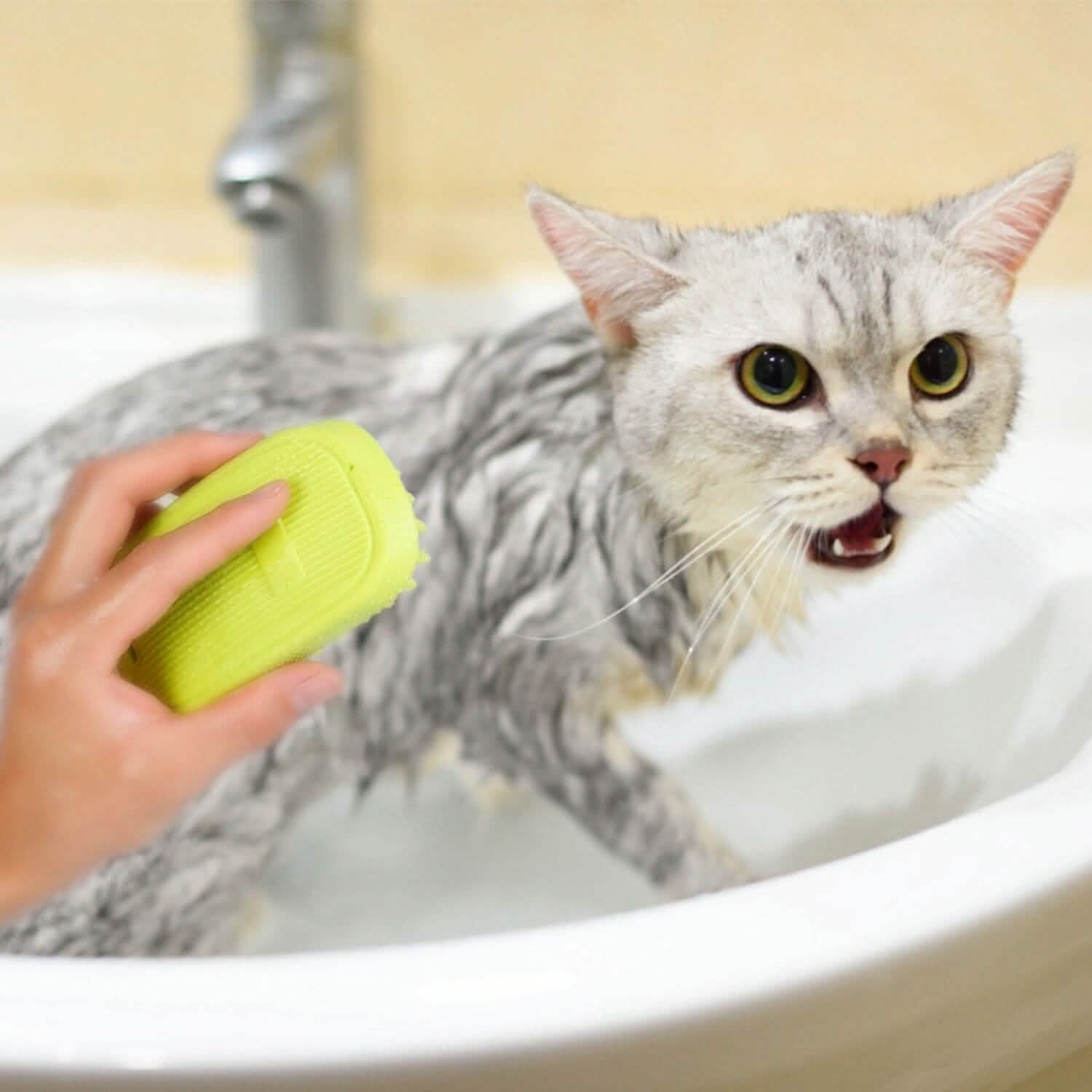 Dog Bath Brush Anti-Skid Pet Grooming Shower Silicone Massage Comb Pet Supplies - Tophatter Daily Deals