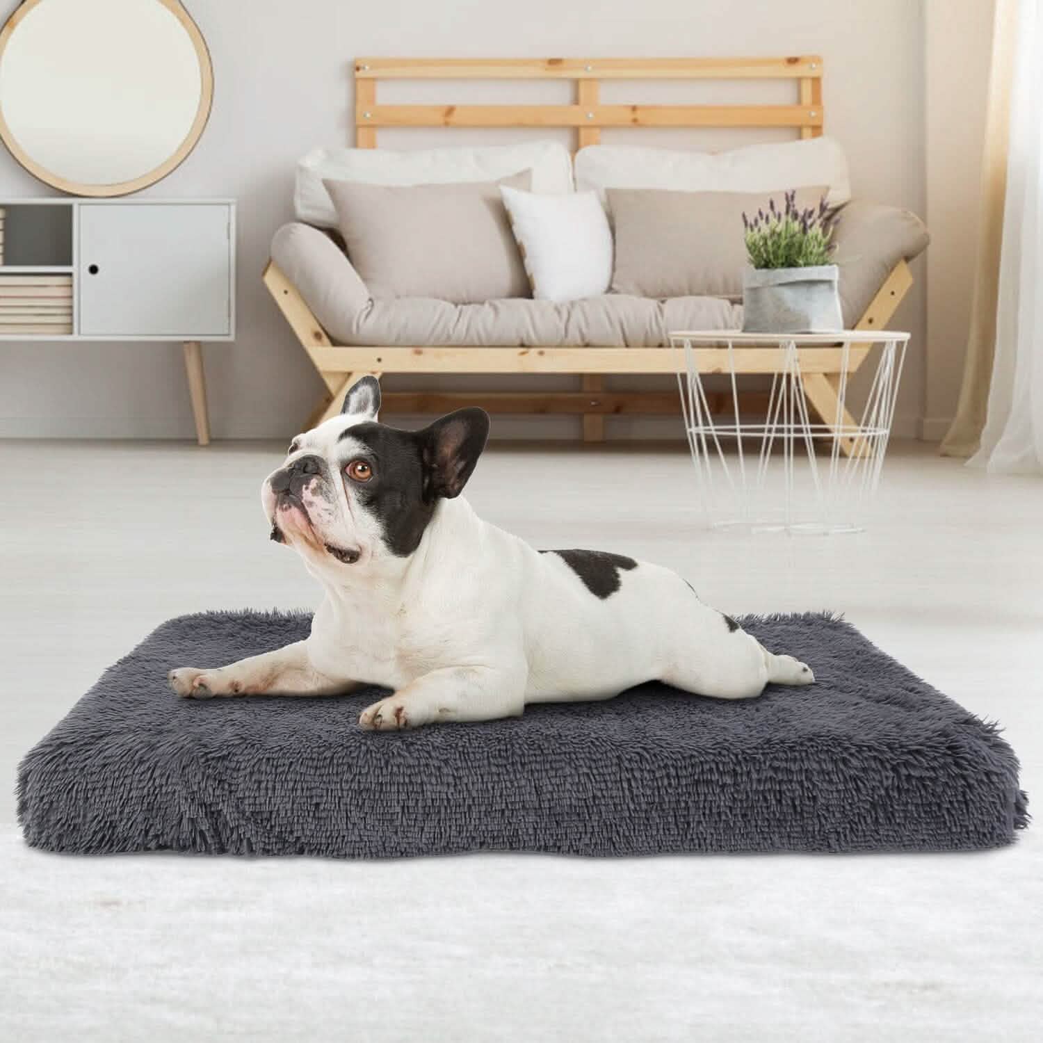 Dog Bed Soft Plush Cushion Cozy Warm Pet Crate Mat Dog Carpet Pet Supplies - Tophatter Daily Deals