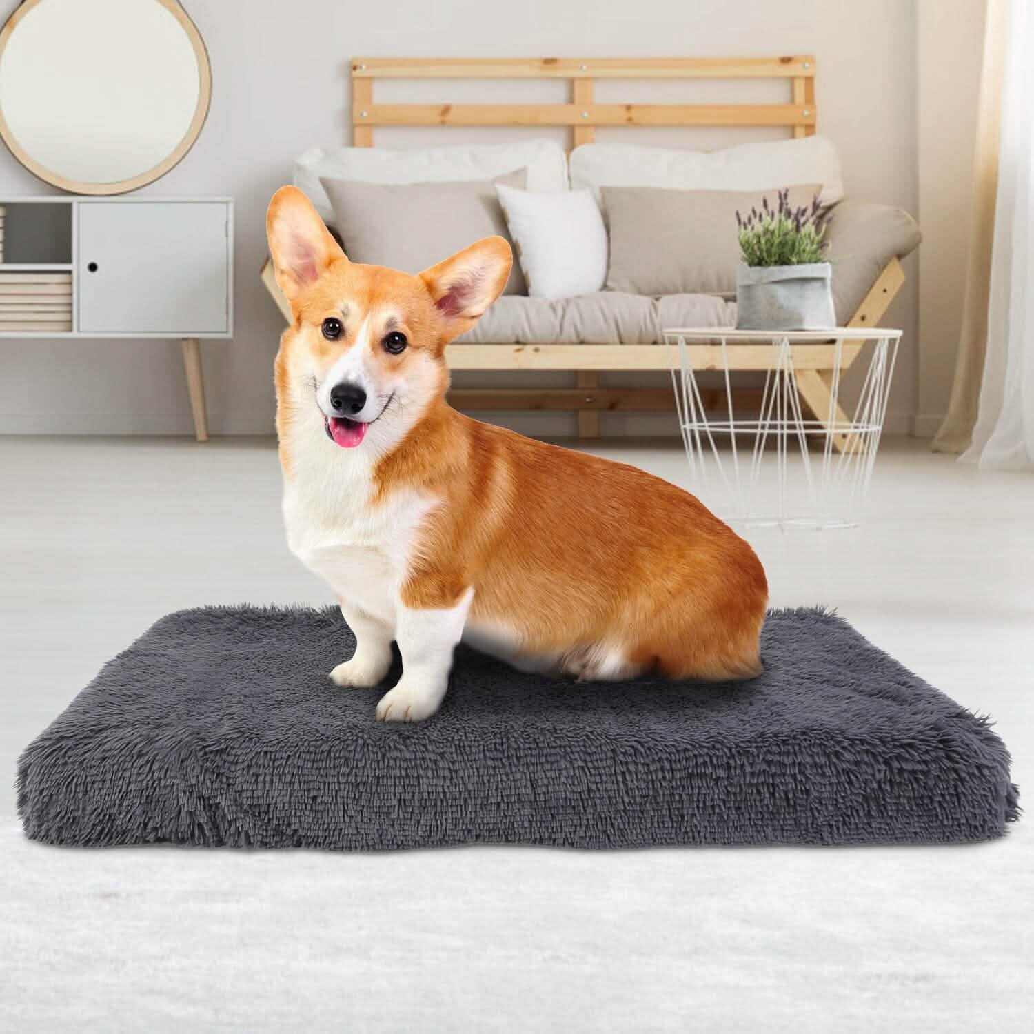 Dog Bed Soft Plush Cushion Cozy Warm Pet Crate Mat Dog Carpet Pet Supplies - Tophatter Daily Deals