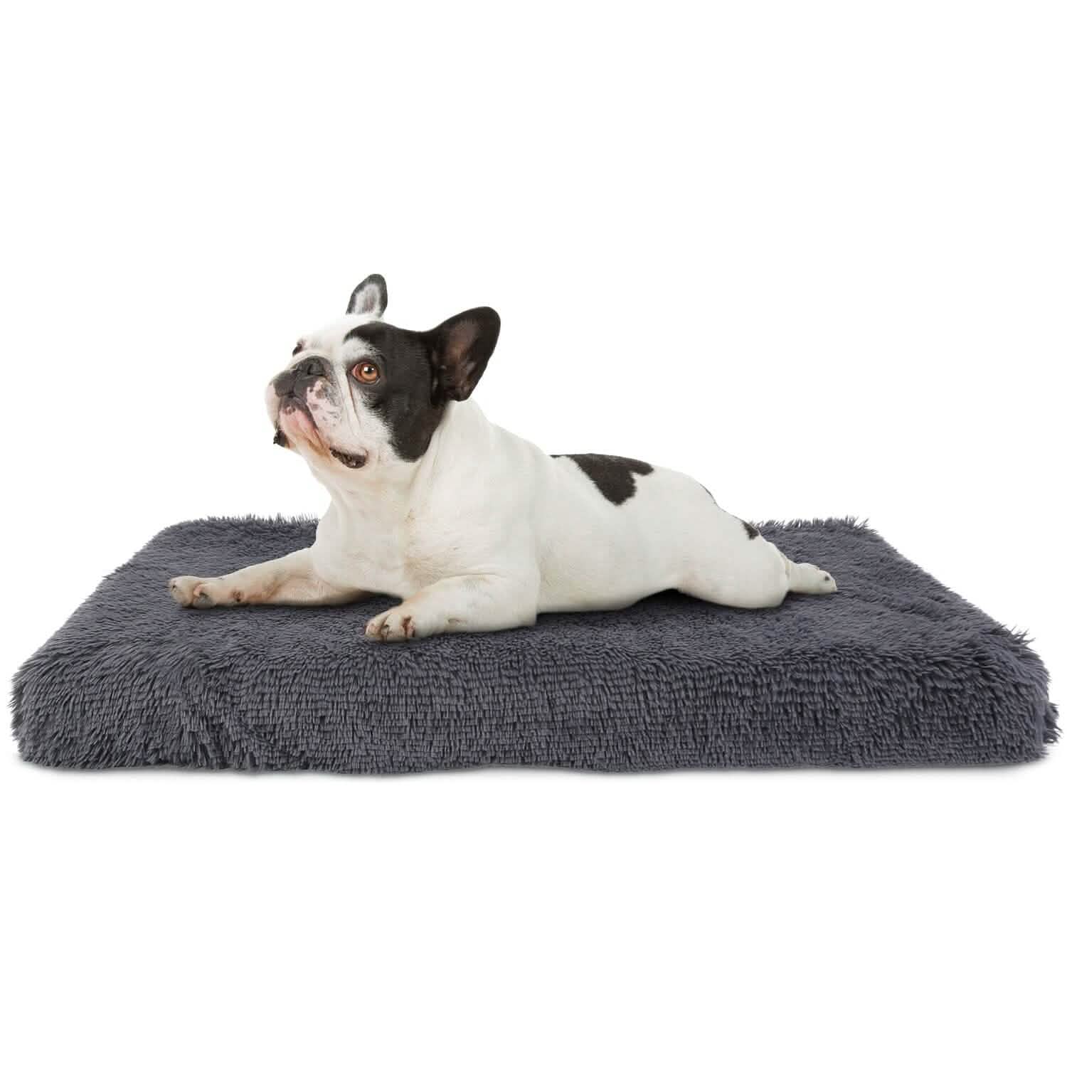 Dog Bed Soft Plush Cushion Cozy Warm Pet Crate Mat Dog Carpet M Pet Supplies - Tophatter Daily Deals