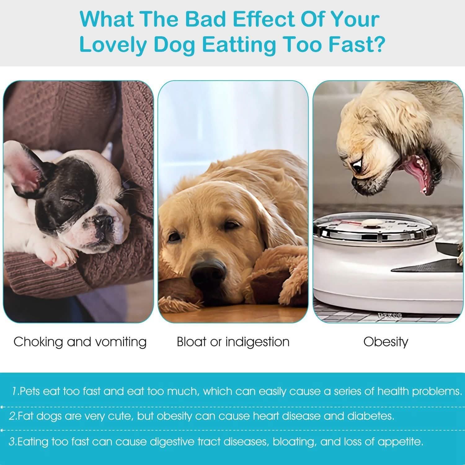 Dog Cat Slow Feeder Bowl Pet Supplies - Tophatter Daily Deals