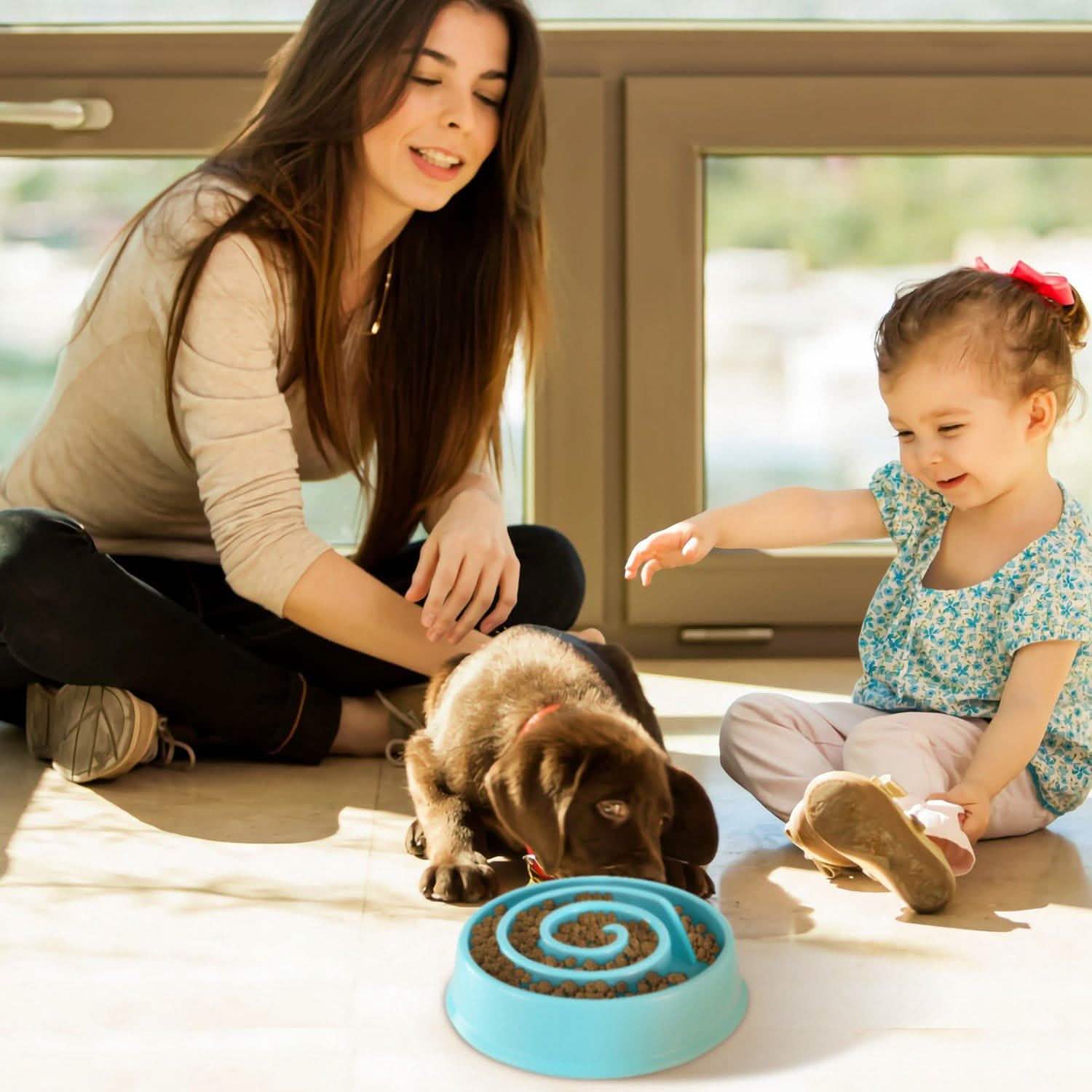 Dog Cat Slow Feeder Bowl Pet Supplies - Tophatter Daily Deals