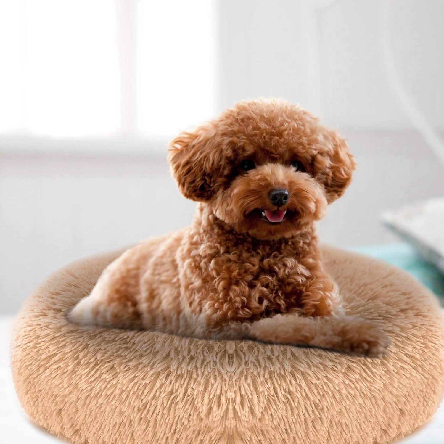 Dog Cozy Nest Sofa Bed Cushion Pet Supplies - Tophatter Daily Deals