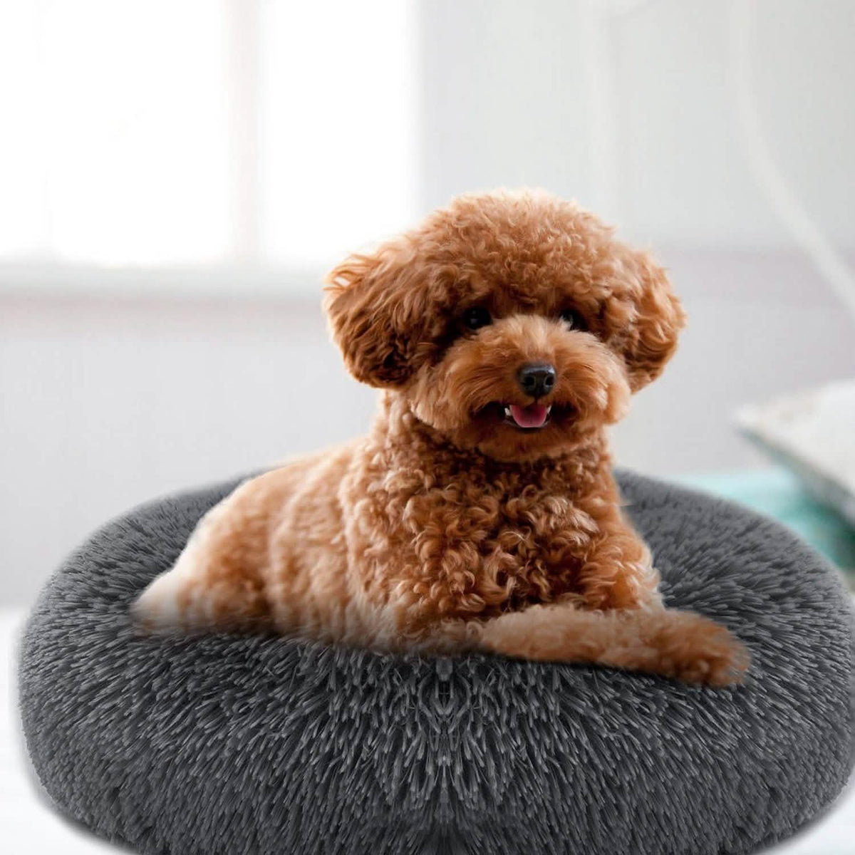 Dog Cozy Nest Sofa Bed Cushion Pet Beds - Tophatter Daily Deals