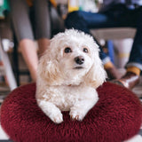 Dog Cozy Nest Sofa Bed Cushion Pet Supplies - Tophatter Daily Deals