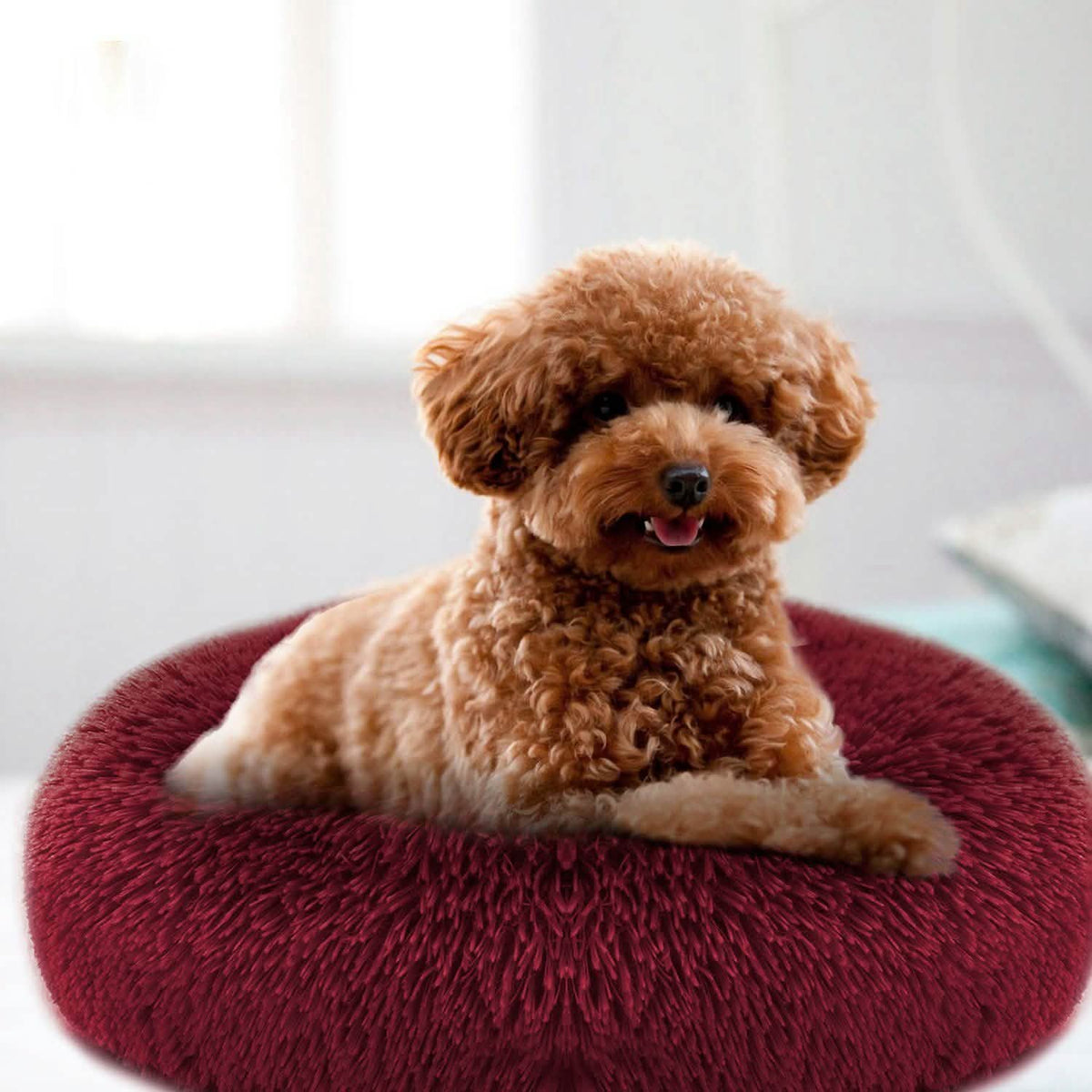 Dog Cozy Nest Sofa Bed Cushion Pet Beds - Tophatter Daily Deals