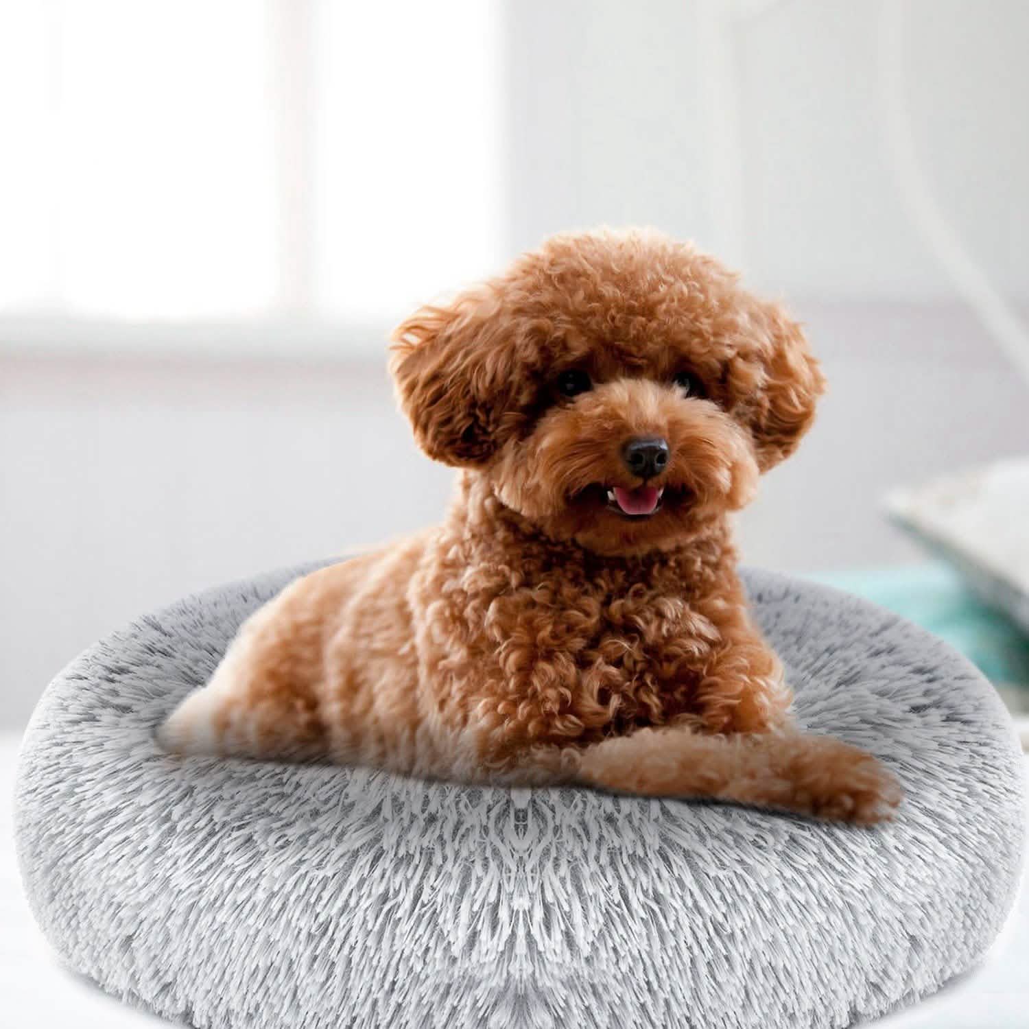 Dog Cozy Nest Sofa Bed Cushion Pet Supplies - Tophatter Daily Deals