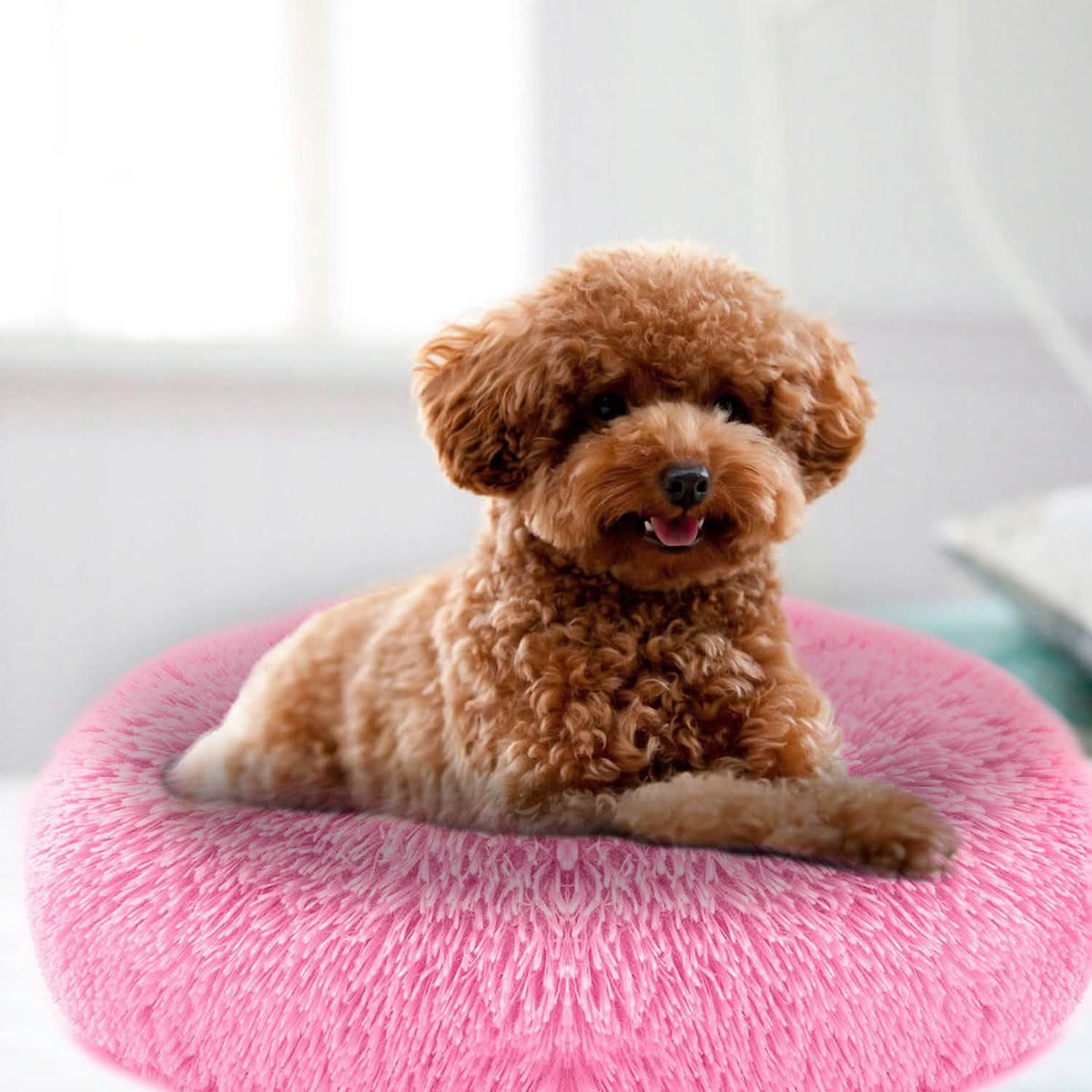 Dog Cozy Nest Sofa Bed Cushion Pet Beds - Tophatter Daily Deals