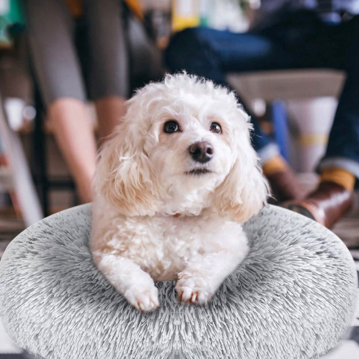 Dog Cozy Nest Sofa Bed Cushion Pet Beds - Tophatter Daily Deals