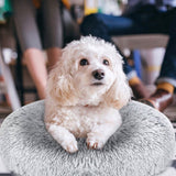 Dog Cozy Nest Sofa Bed Cushion Pet Beds - Tophatter Daily Deals