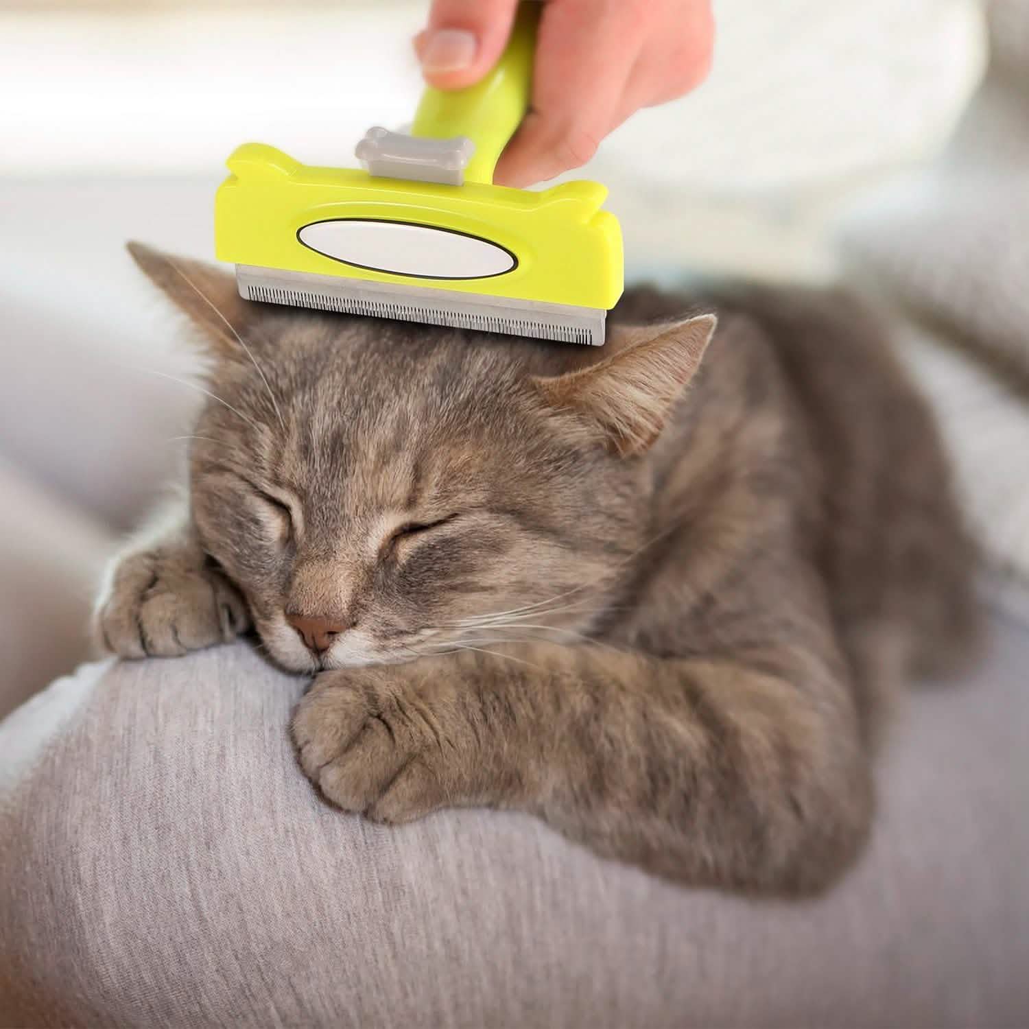 Dog Grooming Brush Comb Pet Hair Remover Pet Supplies - Tophatter Daily Deals