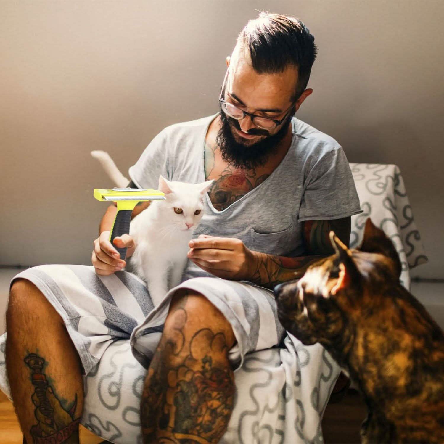 Dog Grooming Brush Comb Pet Hair Remover Pet Supplies - Tophatter Daily Deals