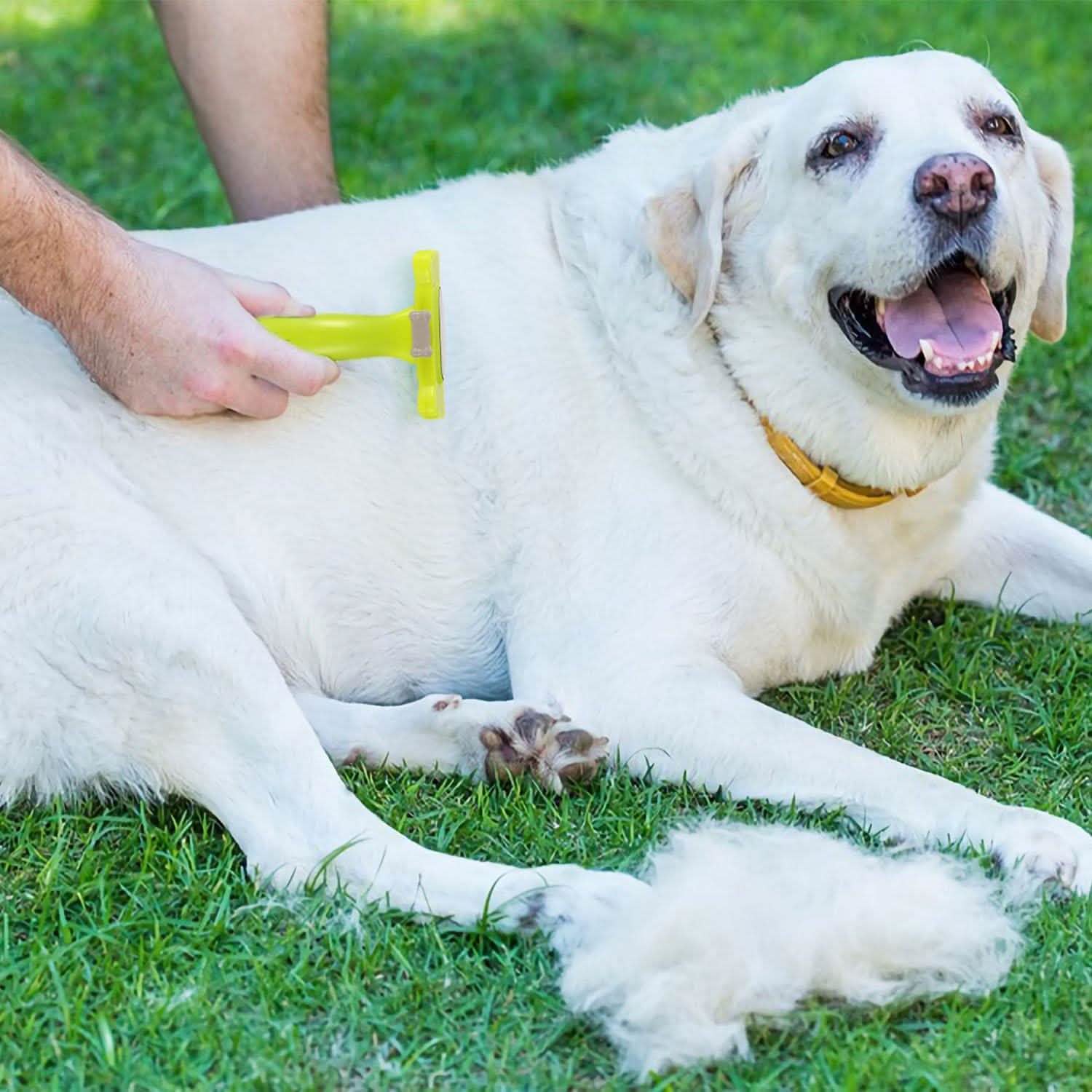 Dog Grooming Brush Comb Pet Hair Remover Pet Supplies - Tophatter Daily Deals