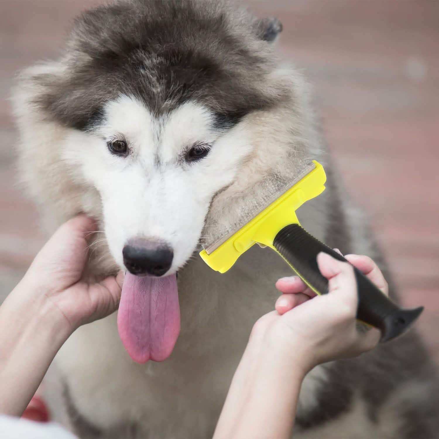 Dog Grooming Brush Comb Pet Hair Remover Pet Supplies - Tophatter Daily Deals