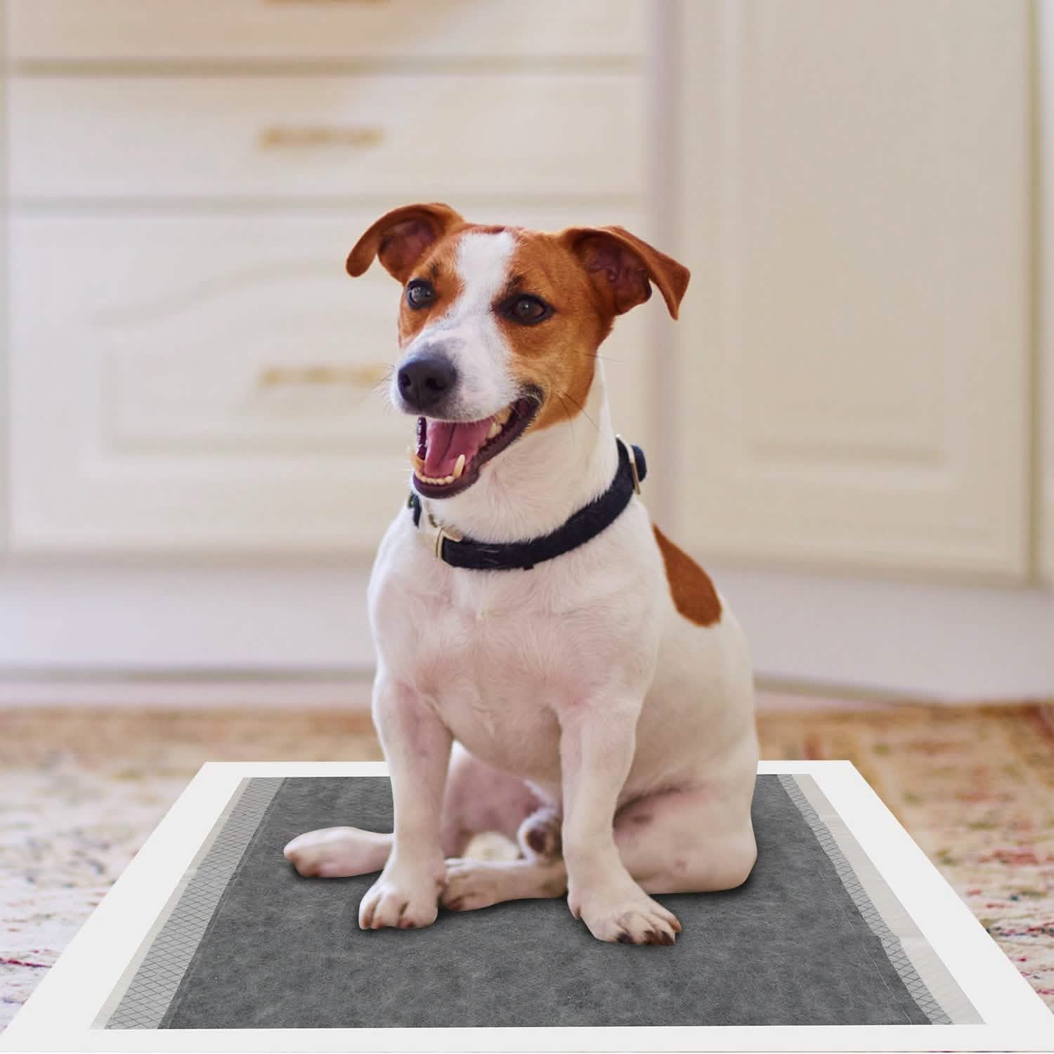 Dog Pee Training Pads Super Absorbent Pet Supplies - Tophatter Daily Deals