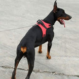 Dog Soft Adjustable Harness Pet Leashes & Harnesses - Tophatter Daily Deals