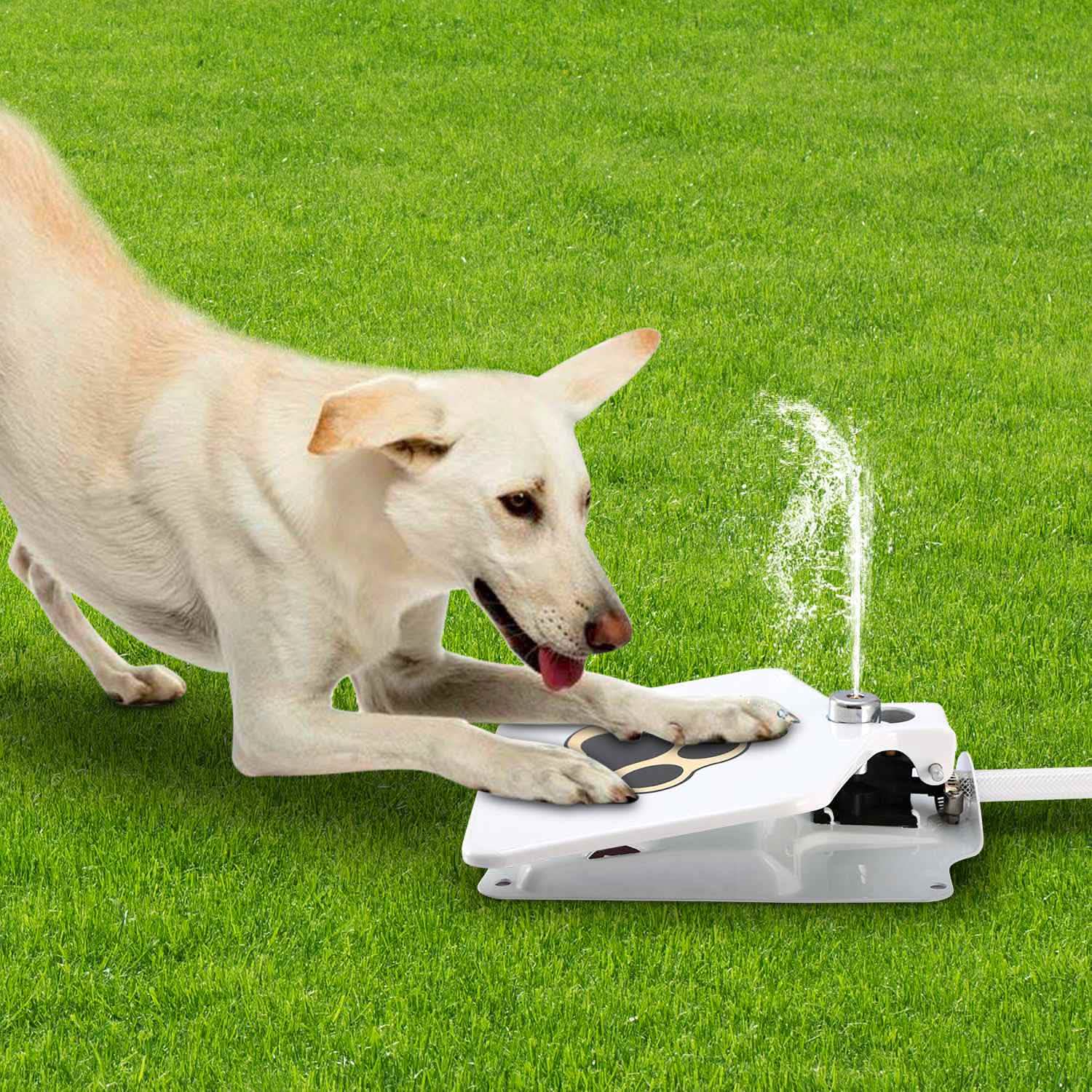 Dog Water Fountain Pet Supplies - Tophatter Daily Deals
