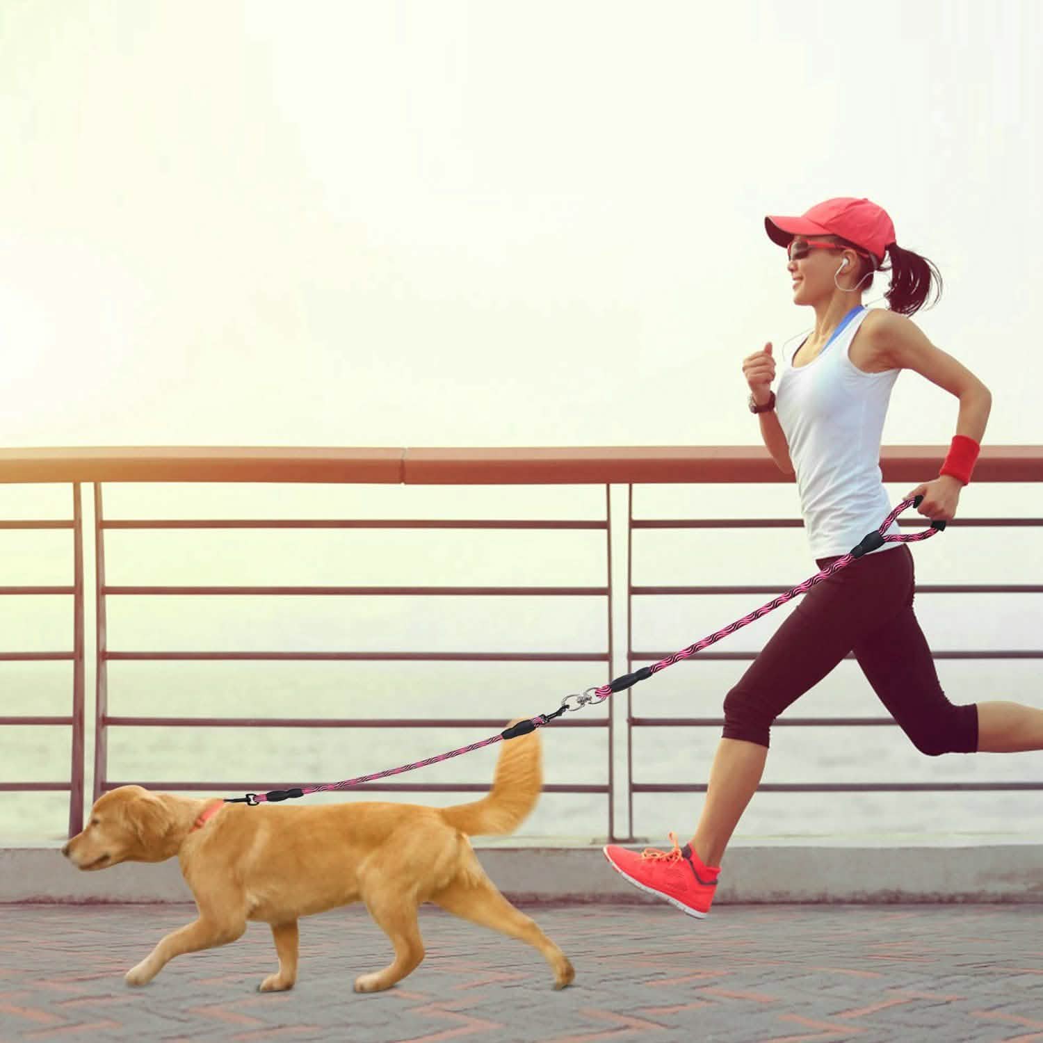 Double Dog Leash No-Tangle with Swivel Coupler Padded Handle Pet Supplies - Tophatter Daily Deals