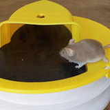 Mouse Trap Bucket Lid Non Toxic Sanitary Fall 2025 Safe - Tophatter Daily Deals