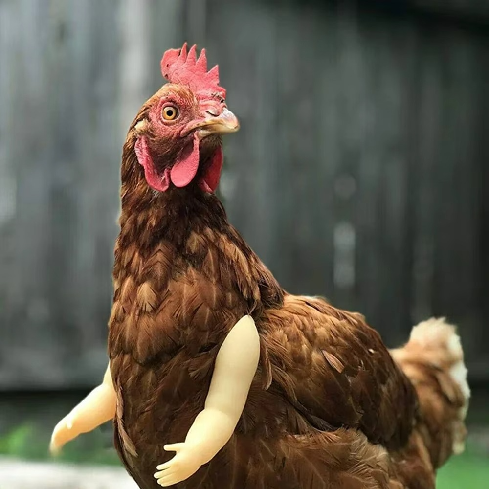 Funny Fighting Chicken Arms Arms Silicone - Tophatter Daily Deals