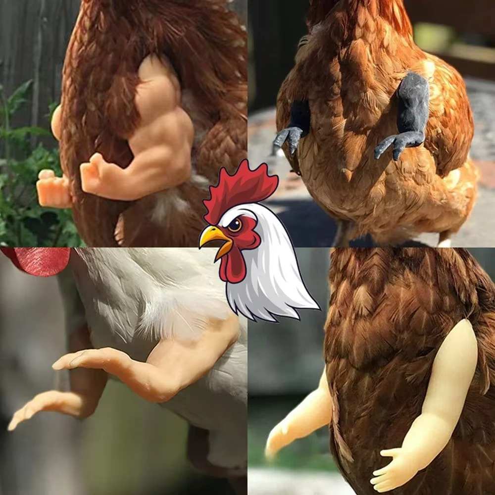 Funny Fighting Chicken Arms - Tophatter Daily Deals