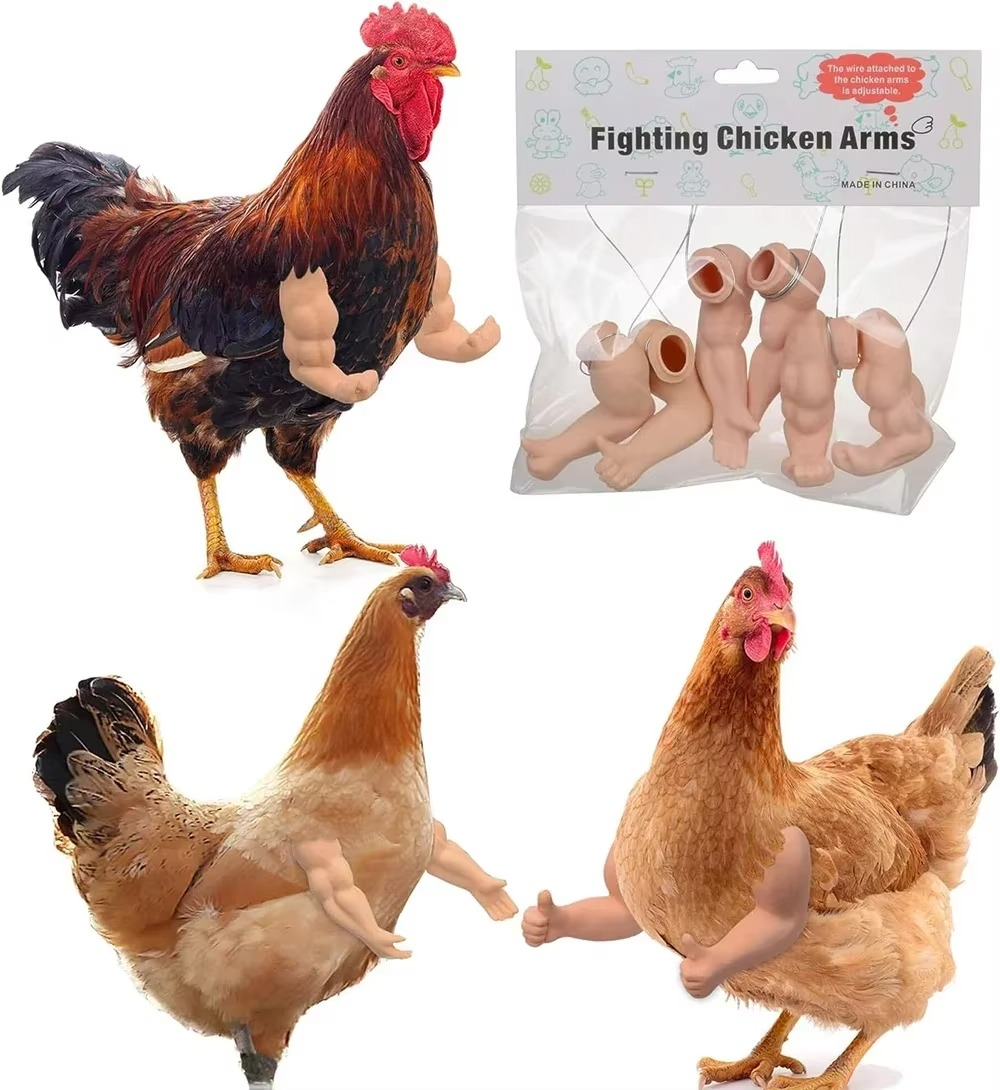 Funny Fighting Chicken Arms - Tophatter Daily Deals