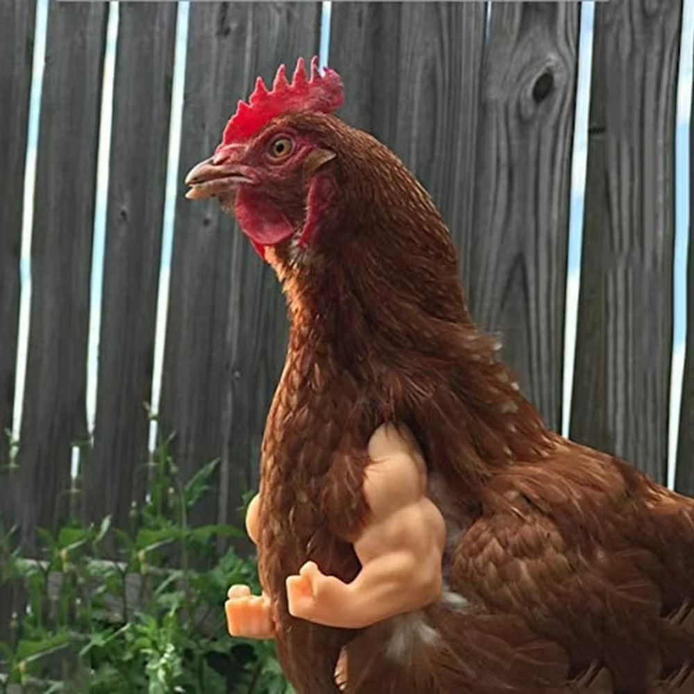 Funny Fighting Chicken Arms Muscular Silicone - Tophatter Daily Deals