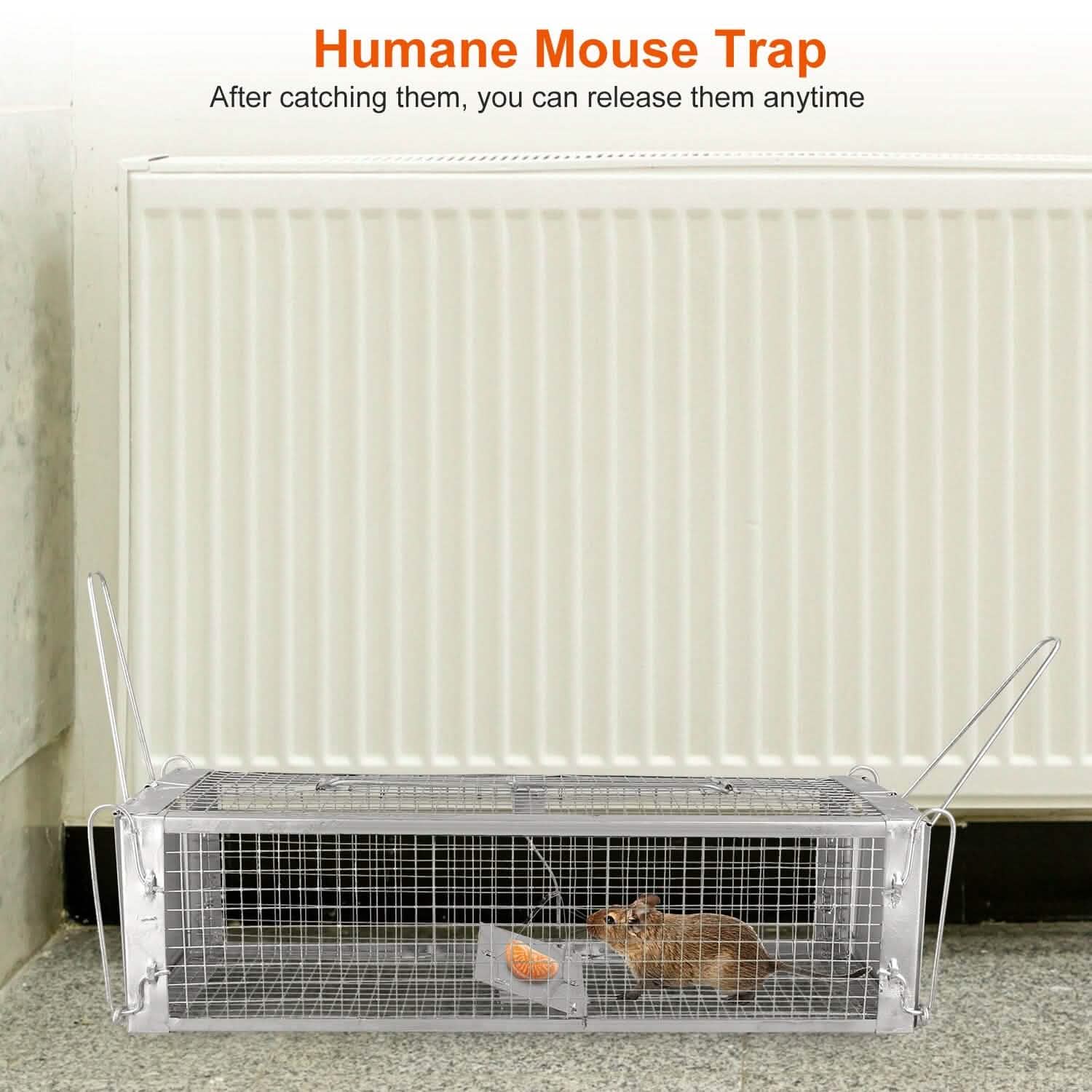 Dual Door Rat Trap Cage Humane with 2 Detachable U Shape Rod Pest Control - Tophatter Daily Deals