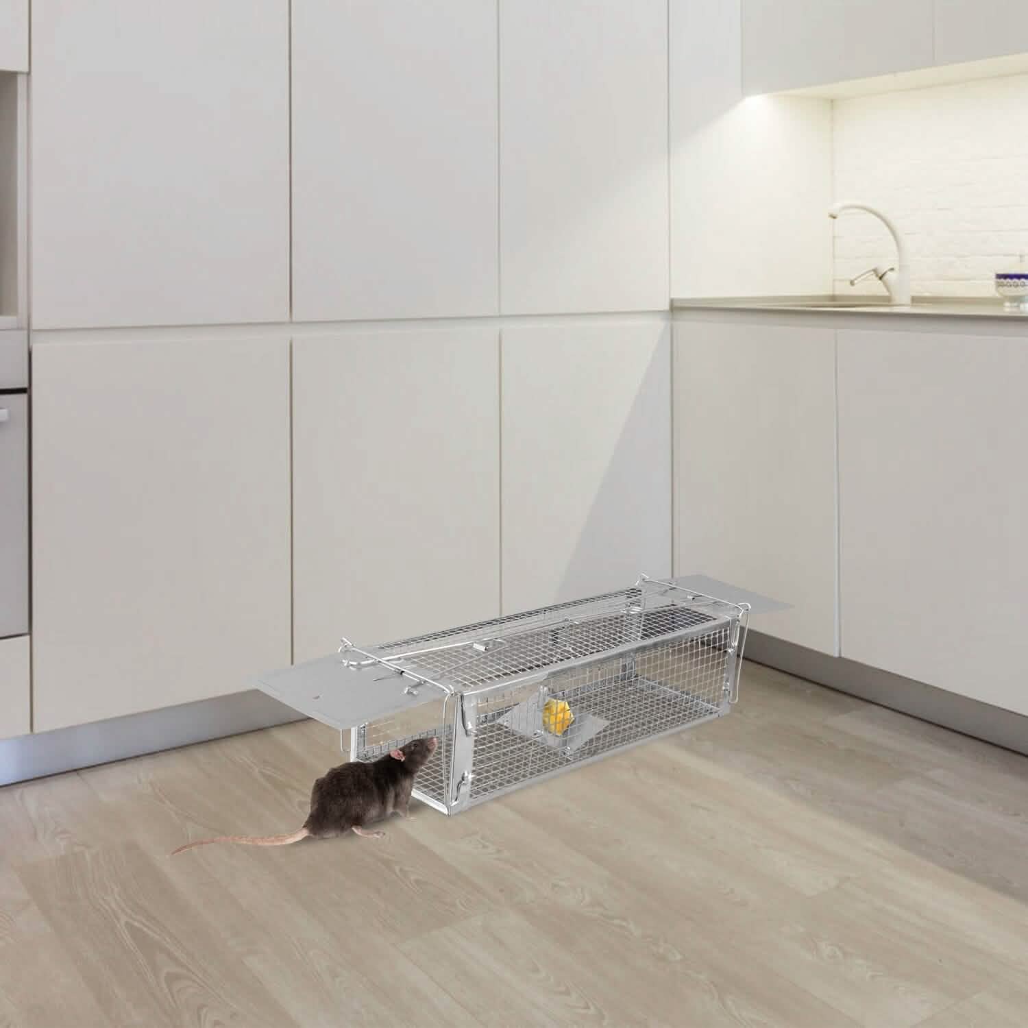 Dual Door Rat Trap Cage Humane with 2 Detachable U Shape Rod Pest Control - Tophatter Daily Deals