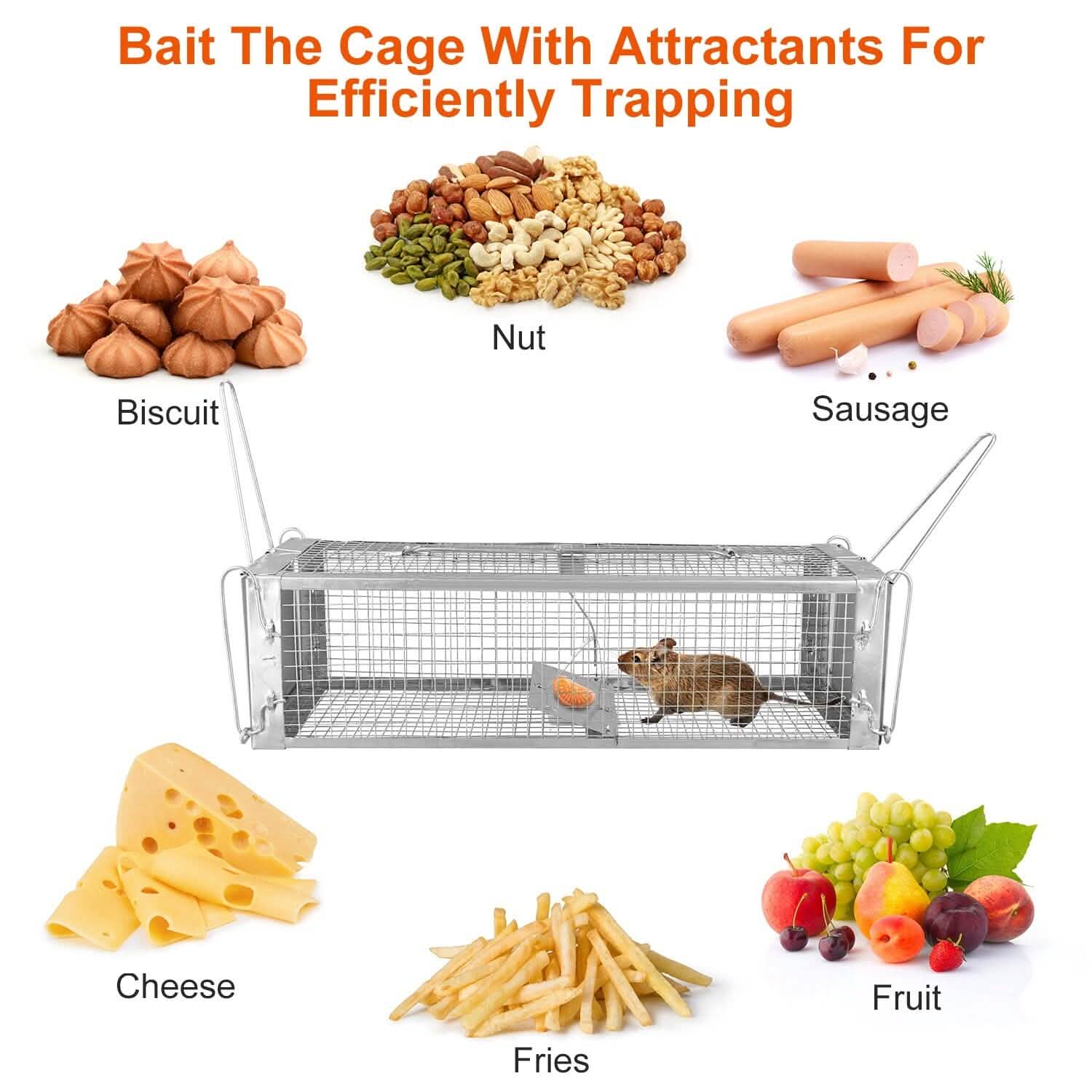 Dual Door Rat Trap Cage Humane with 2 Detachable U Shape Rod Pest Control - Tophatter Daily Deals
