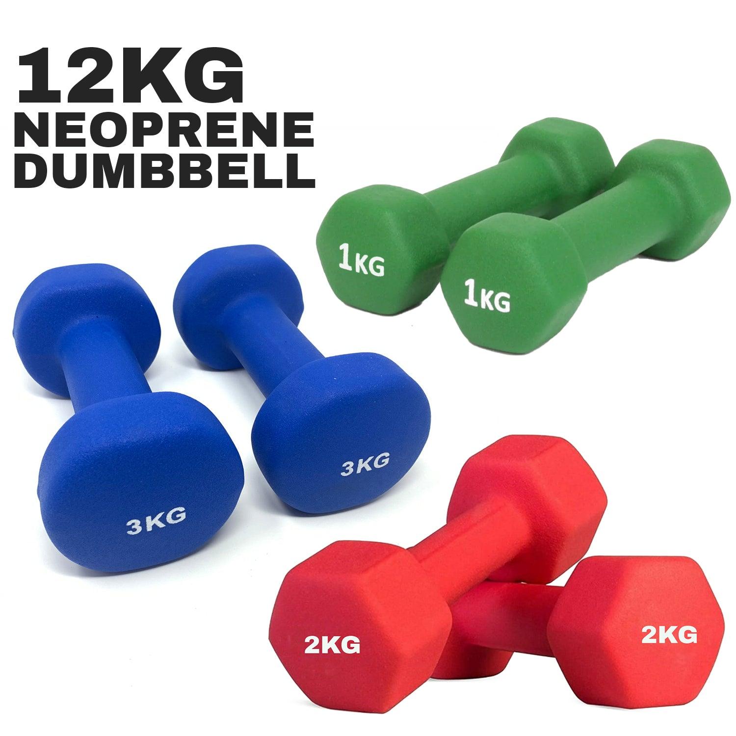 Neoprene Dumbbell Set - 12kg Rubber Vinyl Hand Weight Aerobic Exercise Set + carry Case Exercise & Fitness - Tophatter Daily Deals