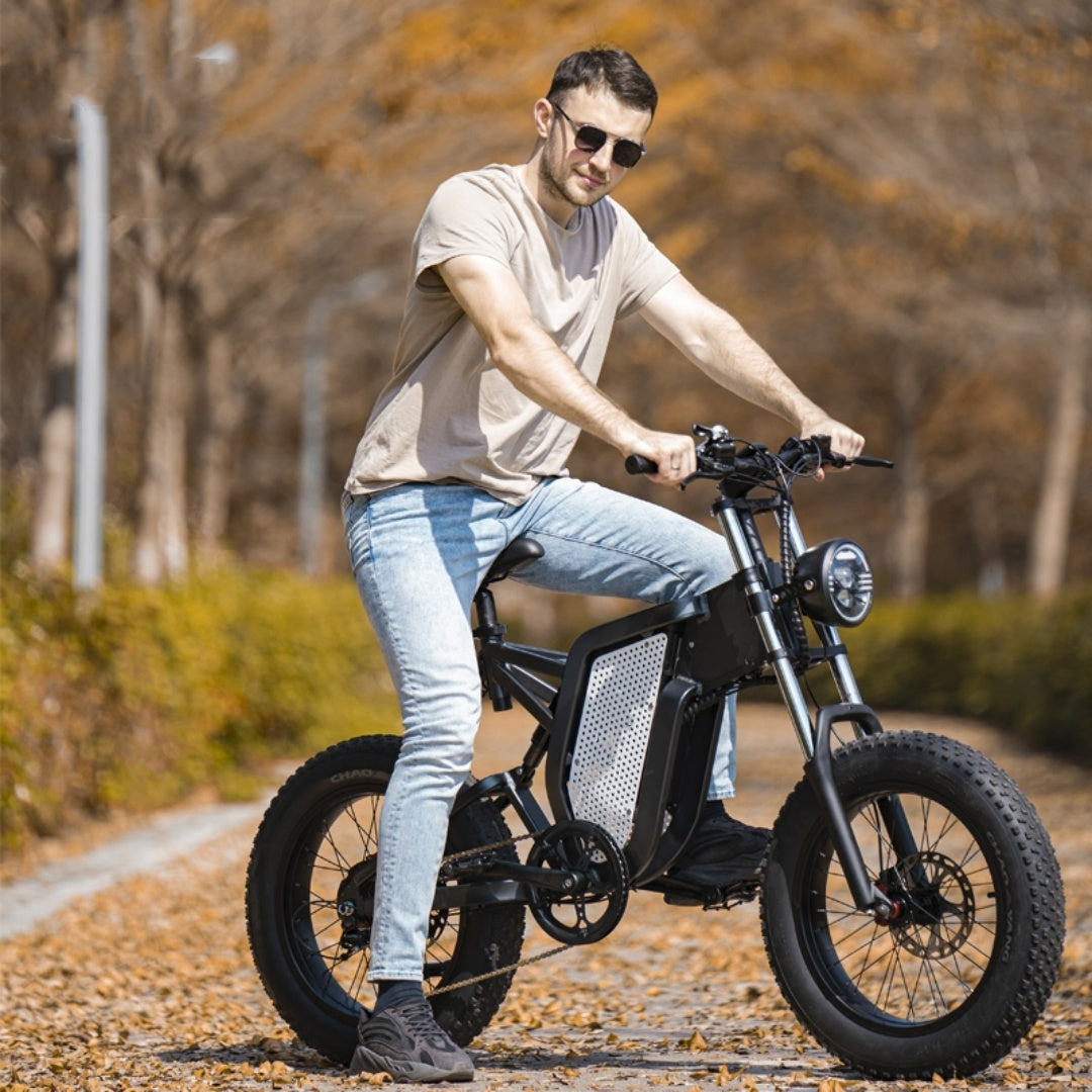20 Inch 48V New National Standard Off-road Electric Bicycle Assistance Spoke Wheel Starry Grey 0 - Tophatter Daily Deals