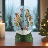3D Snow Globe Christmas Advent Calendar | Advent Calendar with British Birds Advent Calendar - Tophatter Daily Deals