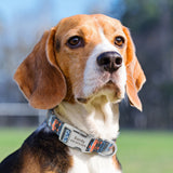 Adjustable Nylon Dog Collar Personalized Dogs Cat ID 7 - Tophatter Daily Deals