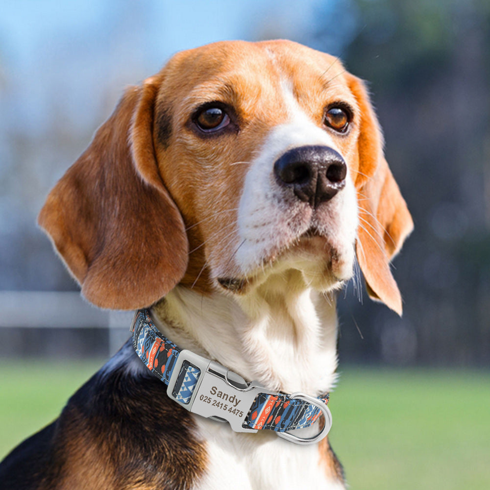 Adjustable Nylon Dog Collar Personalized Dogs Cat ID 7 - Tophatter Daily Deals