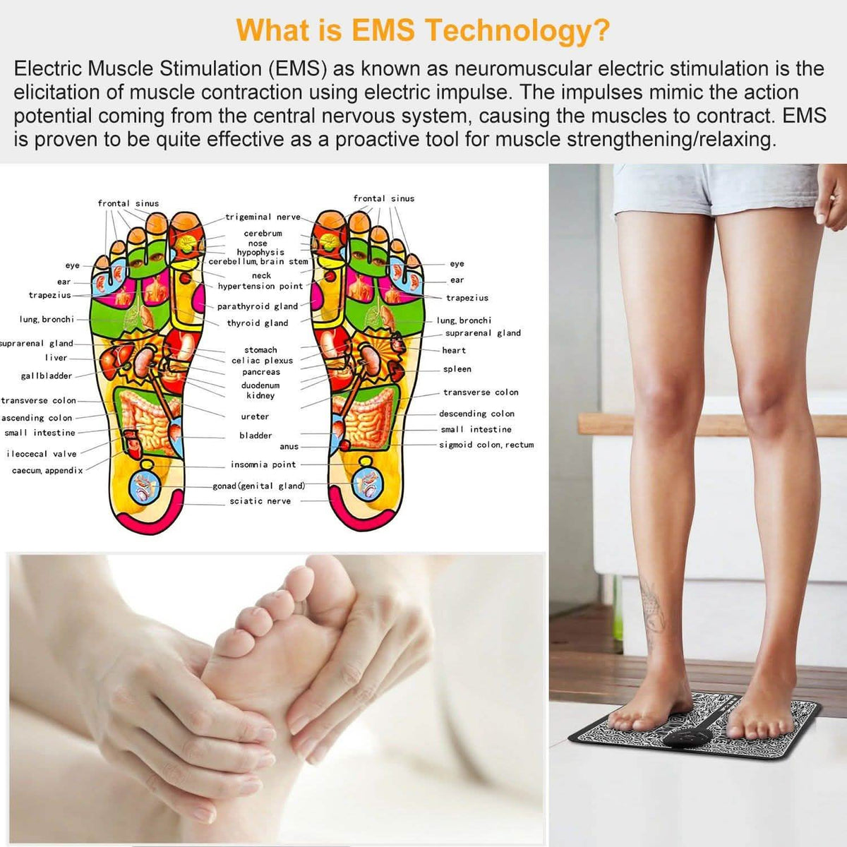 Electric Stimulator Massage Pad Health & Wellness - Tophatter Daily Deals
