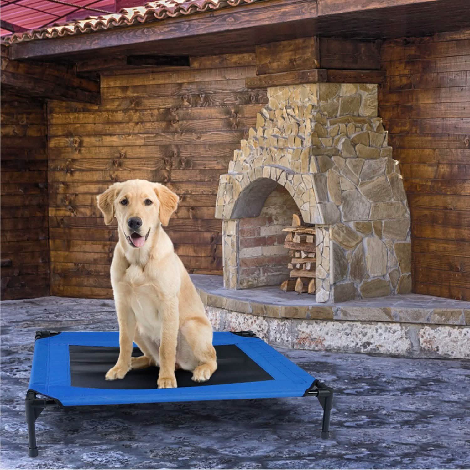 Elevated Dog Cot Bed Pet Supplies - Tophatter Daily Deals